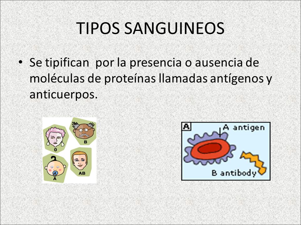 TIPOS SANGUINEOS Se tipifican por la presencia o ausencia de moléculas de proteínas llamadas antígenos y anticuerpos.