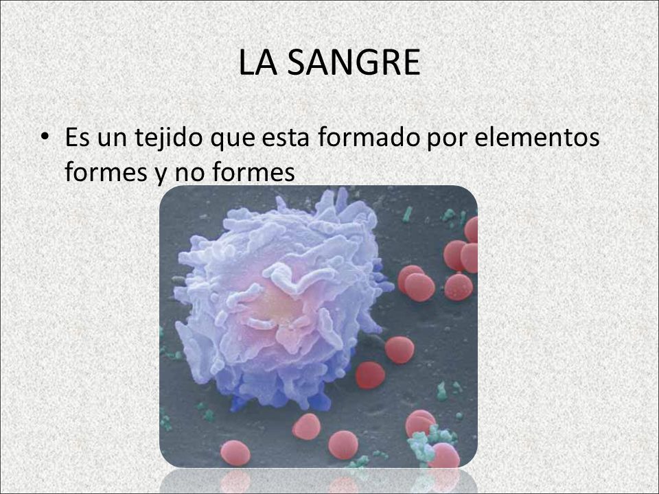 LA SANGRE Es un tejido que esta formado por elementos formes y no formes