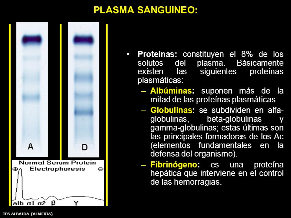 PLASMA SANGUINEO: Proteínas: constituyen el 8% de los solutos del plasma. Básicamente existen las siguientes proteínas plasmáticas: