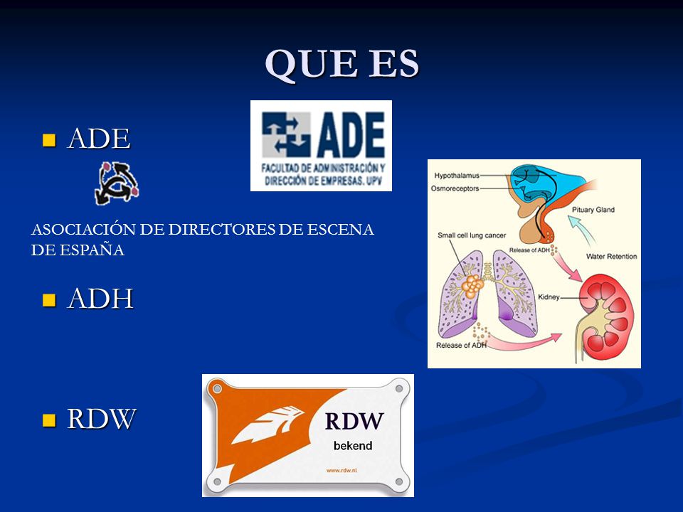 QUE ES ADE ADH RDW ASOCIACIÓN DE DIRECTORES DE ESCENA DE ESPAÑA