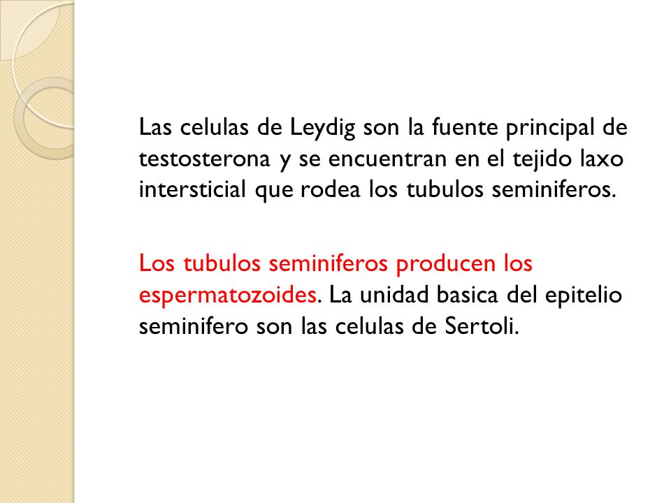 Las celulas de Leydig son la fuente principal de testosterona y se encuentran en el tejido laxo intersticial que rodea los tubulos seminiferos.