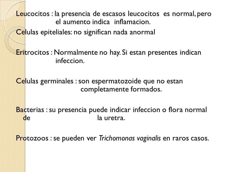 Leucocitos : la presencia de escasos leucocitos es normal, pero el aumento indica inflamacion.