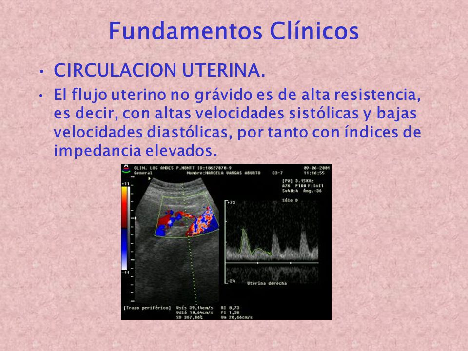 Fundamentos Clínicos CIRCULACION UTERINA.