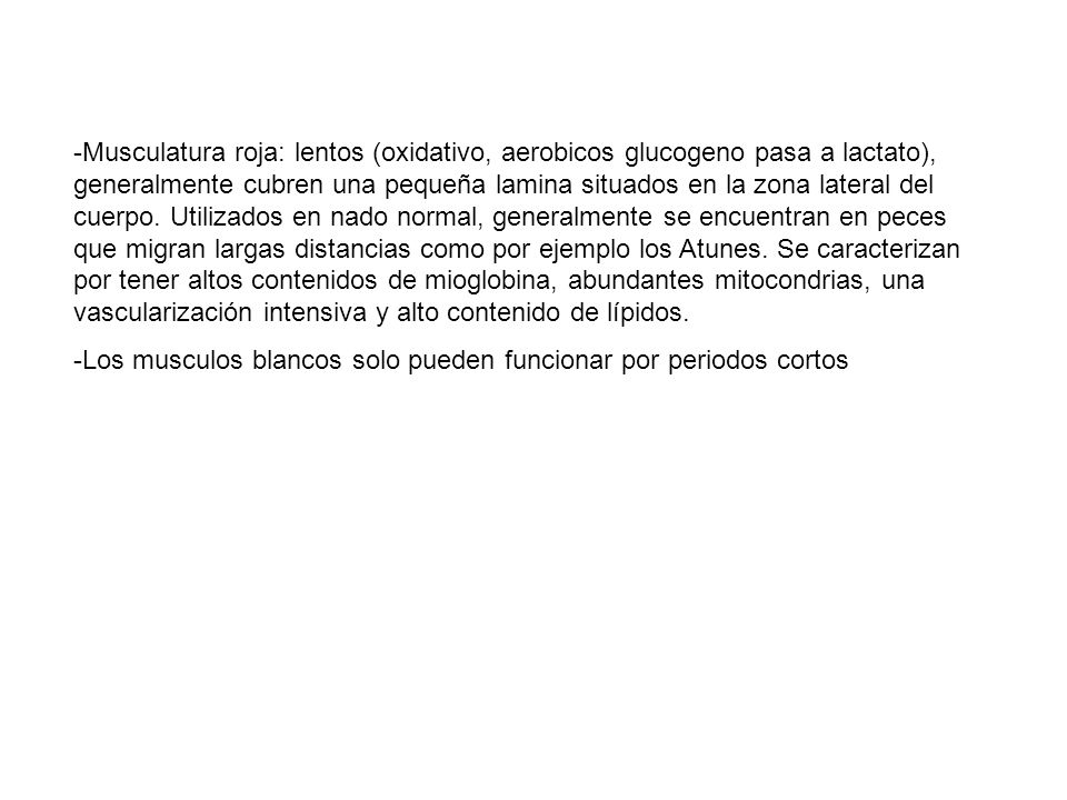 Musculatura roja: lentos (oxidativo, aerobicos glucogeno pasa a lactato), generalmente cubren una pequeña lamina situados en la zona lateral del cuerpo. Utilizados en nado normal, generalmente se encuentran en peces que migran largas distancias como por ejemplo los Atunes. Se caracterizan por tener altos contenidos de mioglobina, abundantes mitocondrias, una vascularización intensiva y alto contenido de lípidos.