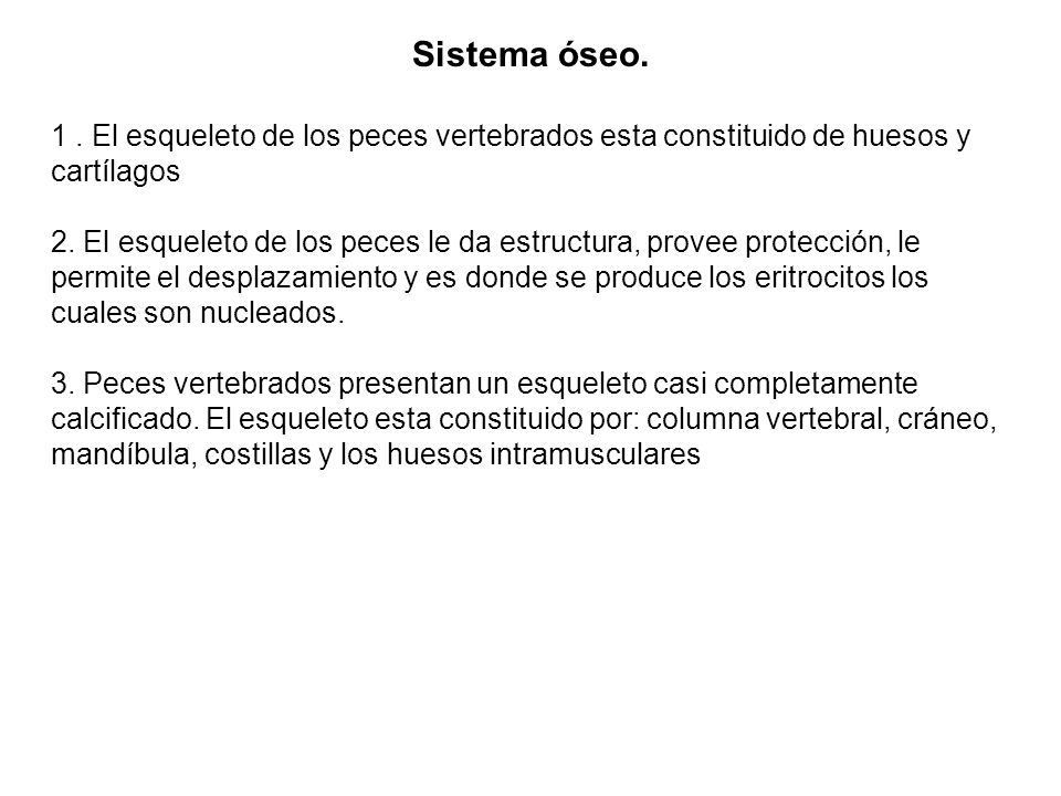 Sistema óseo. 1 . El esqueleto de los peces vertebrados esta constituido de huesos y cartílagos.
