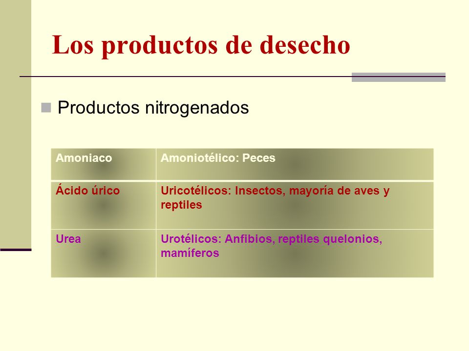 Los productos de desecho