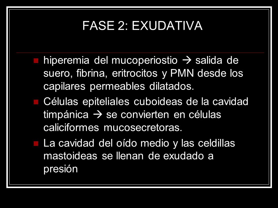 FASE 2: EXUDATIVA hiperemia del mucoperiostio  salida de suero, fibrina, eritrocitos y PMN desde los capilares permeables dilatados.