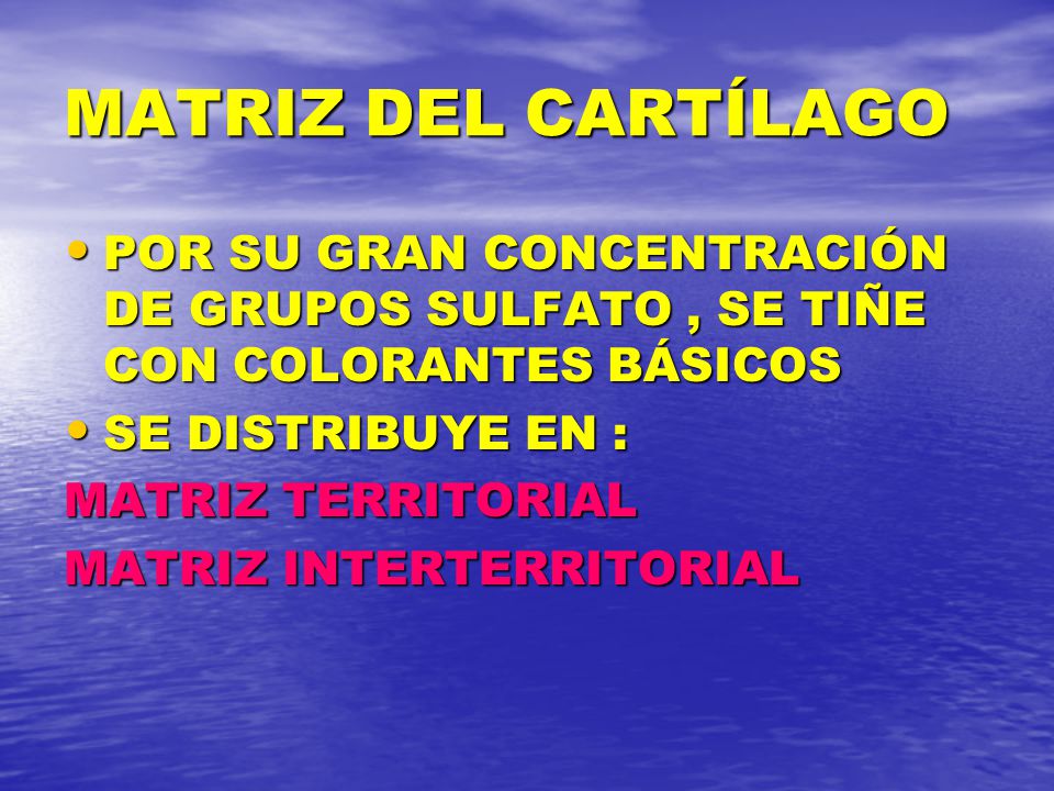 MATRIZ DEL CARTÍLAGO POR SU GRAN CONCENTRACIÓN DE GRUPOS SULFATO , SE TIÑE CON COLORANTES BÁSICOS. SE DISTRIBUYE EN :
