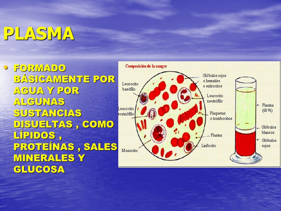 PLASMA FORMADO BÁSICAMENTE POR AGUA Y POR ALGUNAS SUSTANCIAS DISUELTAS , COMO LÍPIDOS , PROTEÍNAS , SALES MINERALES Y GLUCOSA.