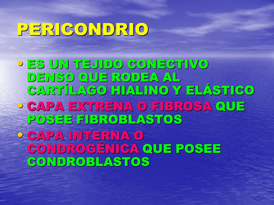 PERICONDRIO ES UN TEJIDO CONECTIVO DENSO QUE RODEA AL CARTÍLAGO HIALINO Y ELÁSTICO. CAPA EXTRENA O FIBROSA QUE POSEE FIBROBLASTOS.