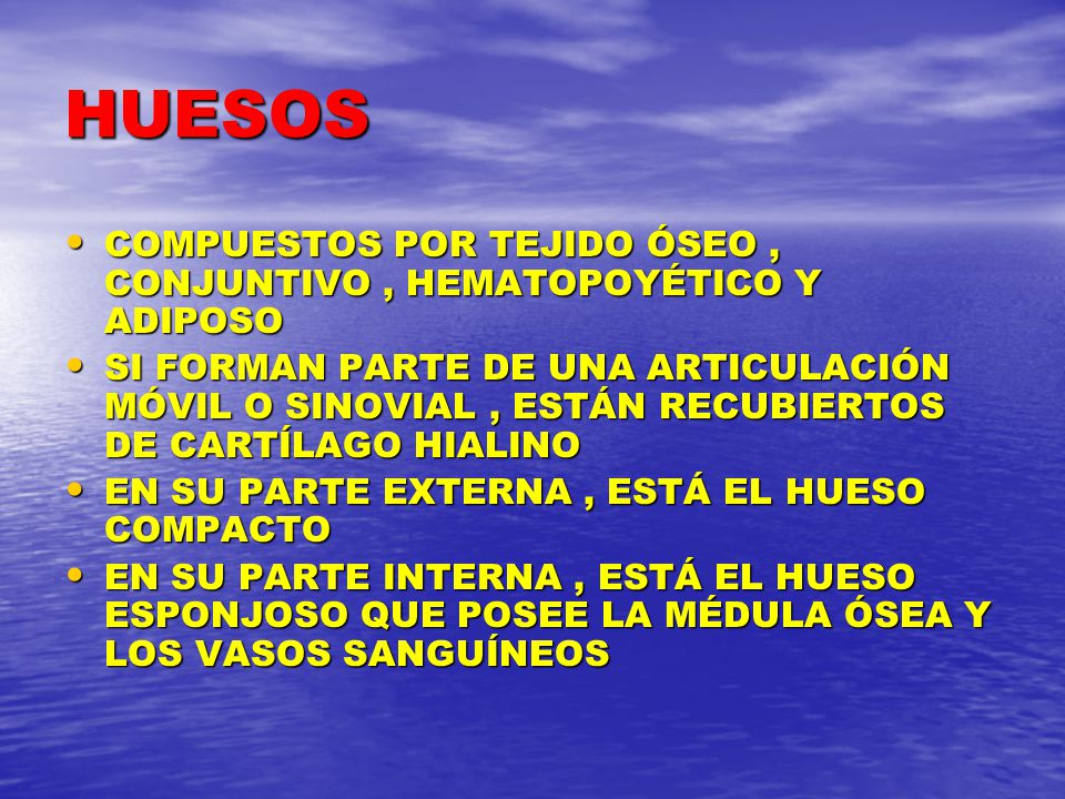 HUESOS COMPUESTOS POR TEJIDO ÓSEO , CONJUNTIVO , HEMATOPOYÉTICO Y ADIPOSO.