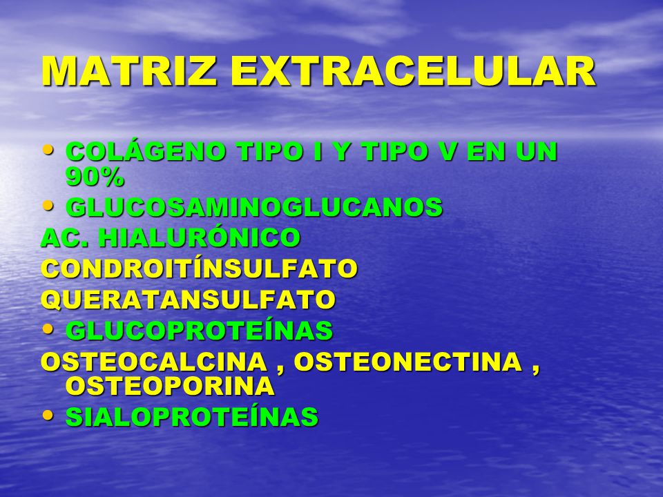 MATRIZ EXTRACELULAR COLÁGENO TIPO I Y TIPO V EN UN 90%