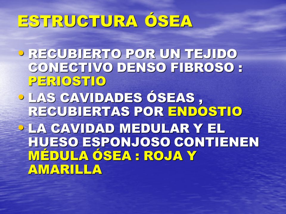 ESTRUCTURA ÓSEA RECUBIERTO POR UN TEJIDO CONECTIVO DENSO FIBROSO : PERIOSTIO. LAS CAVIDADES ÓSEAS , RECUBIERTAS POR ENDOSTIO.