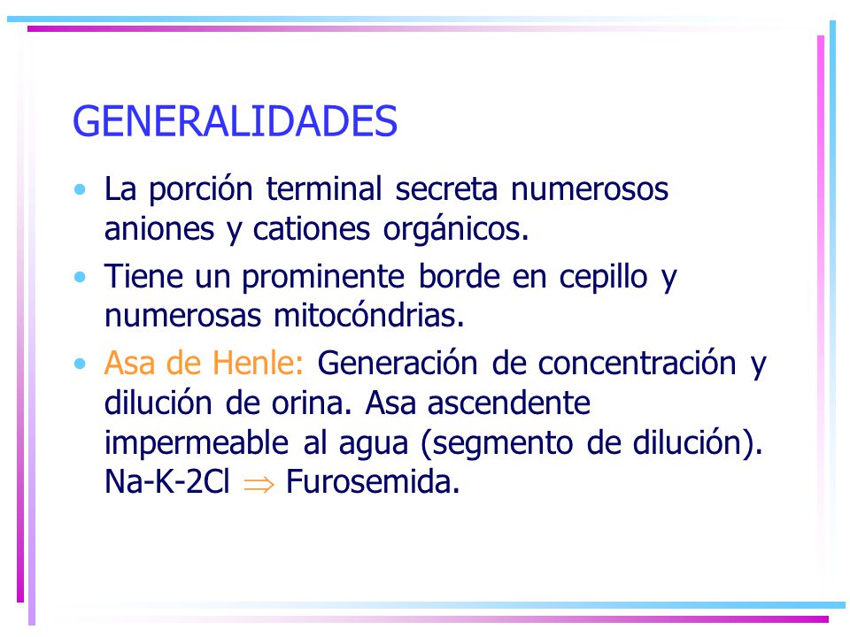 GENERALIDADES La porción terminal secreta numerosos aniones y cationes orgánicos. Tiene un prominente borde en cepillo y numerosas mitocóndrias.