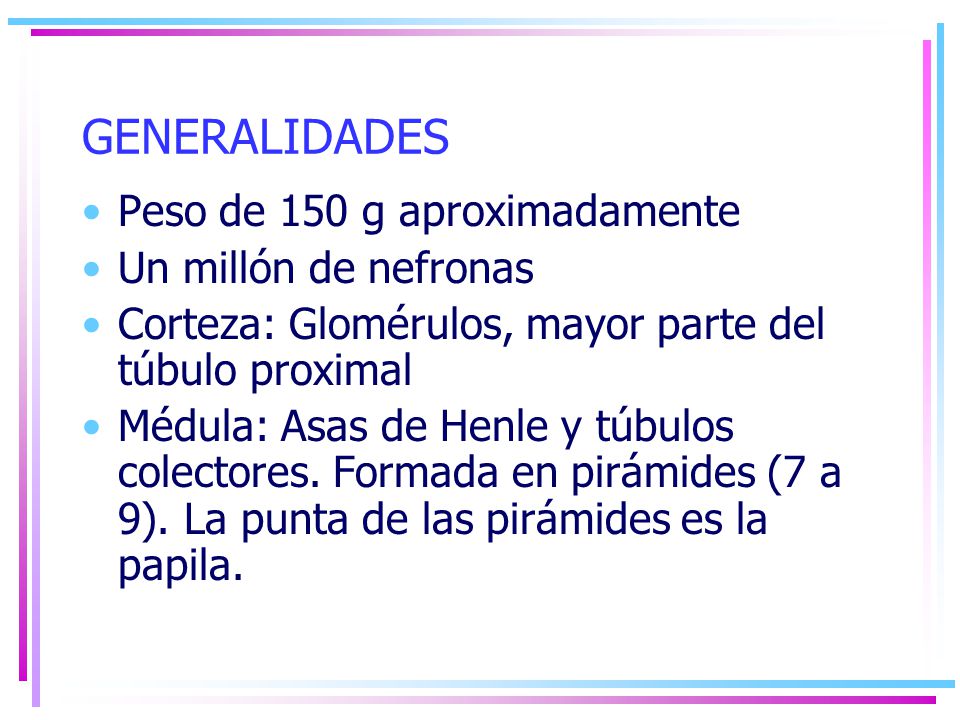 GENERALIDADES Peso de 150 g aproximadamente Un millón de nefronas