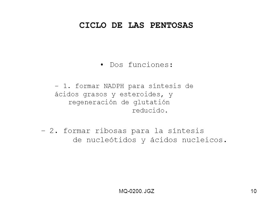 2. formar ribosas para la síntesis de nucleótidos y ácidos nucleicos.