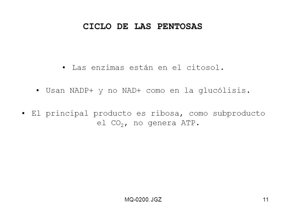 CICLO DE LAS PENTOSAS Las enzimas están en el citosol.