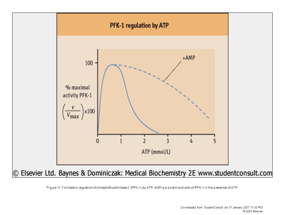 Figure 11.7 Allosteric regulation of phosphofructokinase-1 (PFK-1) by ATP. AMP is a potent activator of PFK-1 in the presence of ATP.
