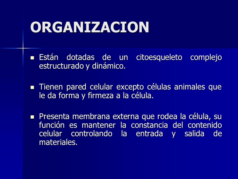 ORGANIZACION Están dotadas de un citoesqueleto complejo estructurado y dinámico.