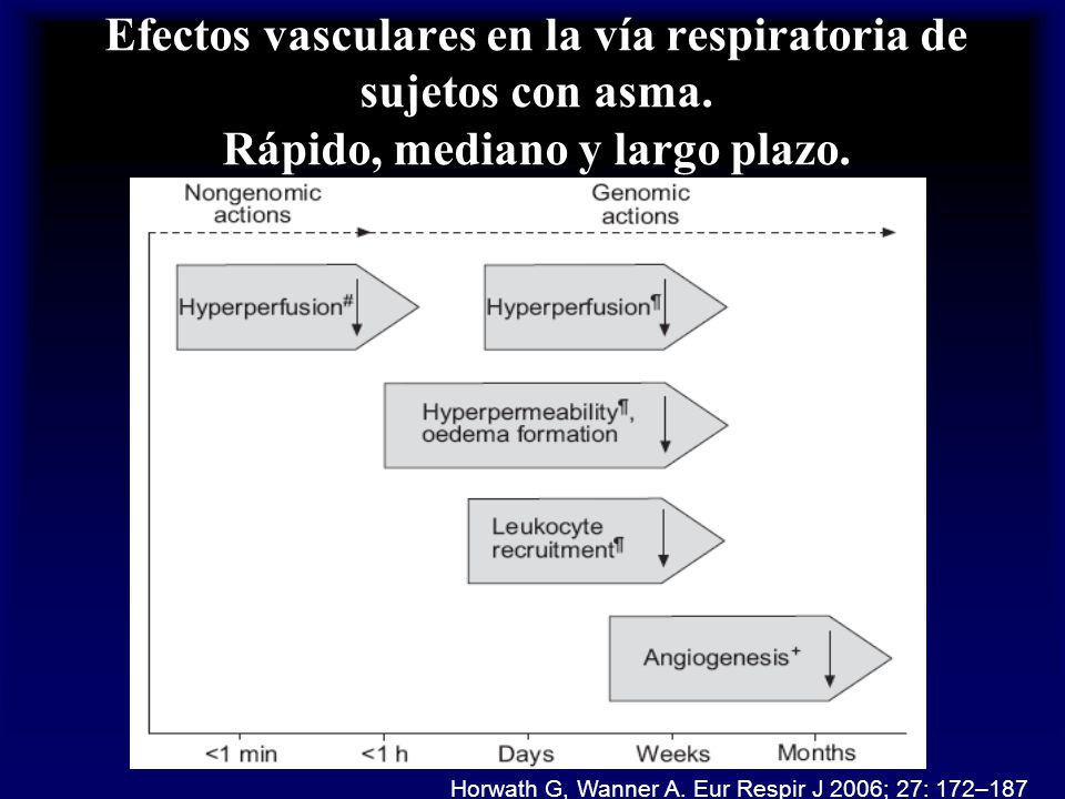 Efectos vasculares en la vía respiratoria de sujetos con asma