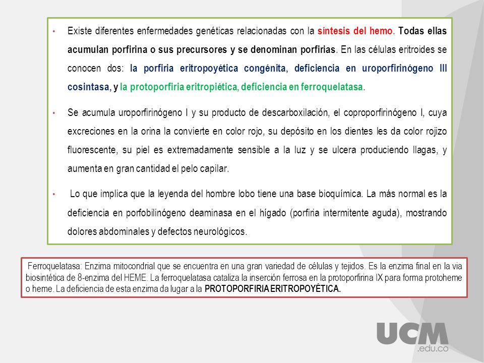 Existe diferentes enfermedades genéticas relacionadas con la síntesis del hemo. Todas ellas acumulan porfirina o sus precursores y se denominan porfirias. En las células eritroides se conocen dos: la porfiria eritropoyética congénita, deficiencia en uroporfirinógeno III cosintasa, y la protoporfiria eritropiética, deficiencia en ferroquelatasa.
