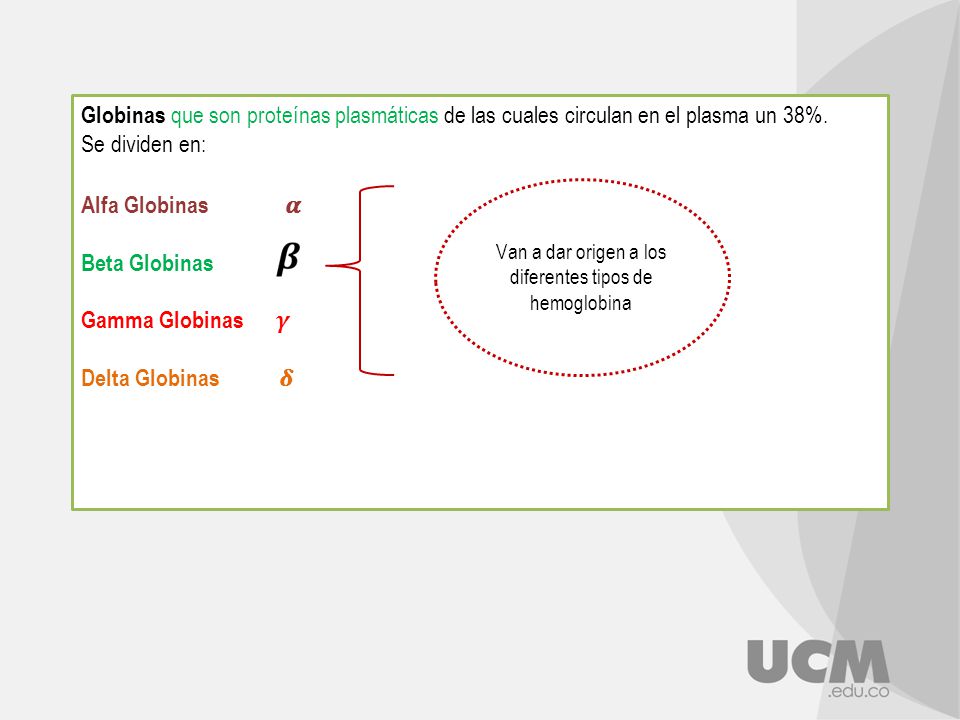 Van a dar origen a los diferentes tipos de hemoglobina