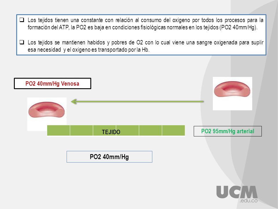 Los tejidos tienen una constante con relación al consumo del oxigeno por todos los procesos para la formación del ATP, la PO2 es baja en condiciones fisiológicas normales en los tejidos (PO2 40mm/Hg).