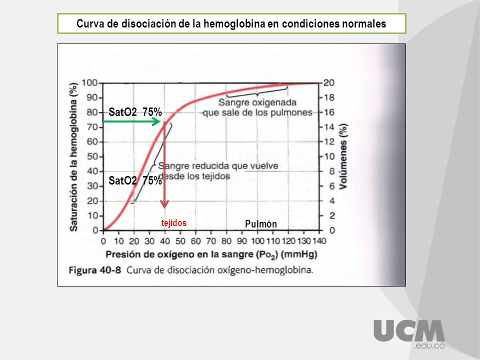 Curva de disociación de la hemoglobina en condiciones normales