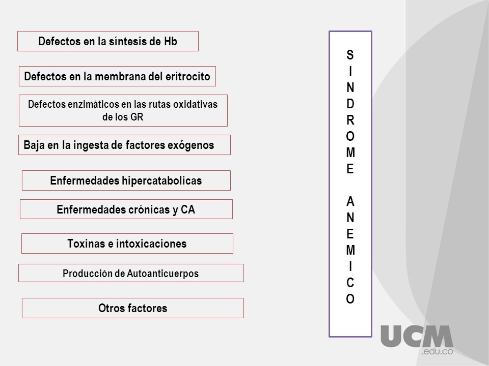 S I N D R O M E A C Defectos en la síntesis de Hb