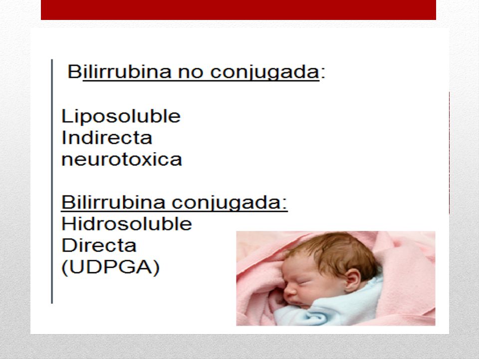 Fisiopatologia Recién nacido – Transición en metabolismo bilirrubina. (Eliminación) FETAL – ADULTA.