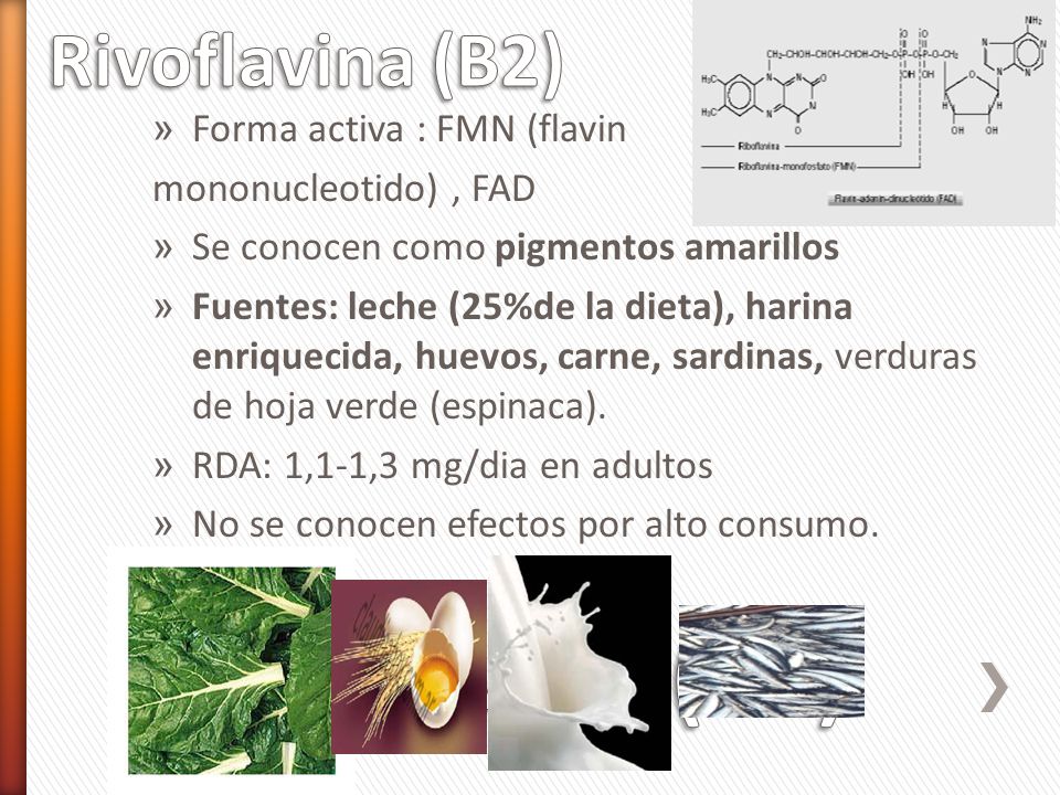 Riboflavina (b2) Rivoflavina (B2) Forma activa : FMN (flavin