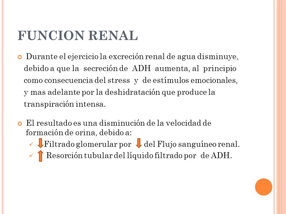 FUNCION RENAL Durante el ejercicio la excreción renal de agua disminuye, debido a que la secreción de ADH aumenta, al principio.