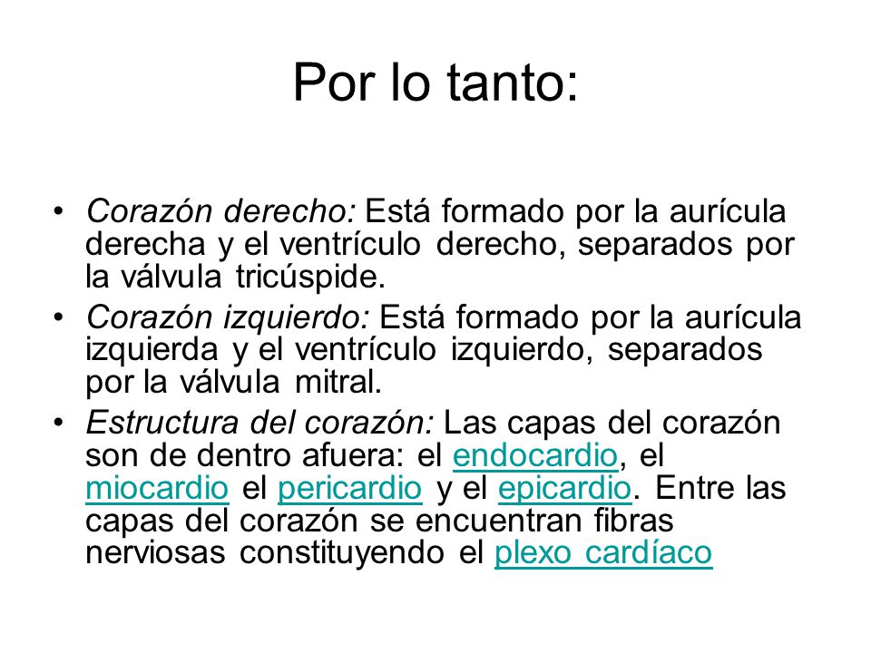 Por lo tanto: Corazón derecho: Está formado por la aurícula derecha y el ventrículo derecho, separados por la válvula tricúspide.