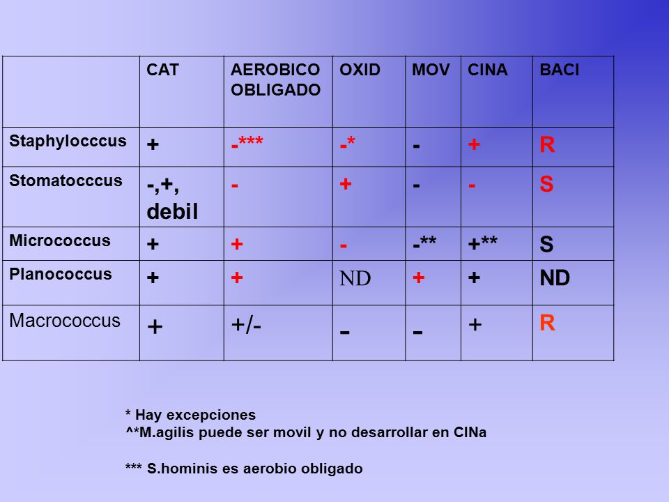 +/- + -*** -* - R -,+, debil S -** +** ND Macrococcus CAT