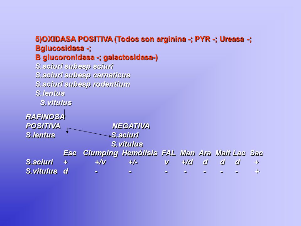 5)OXIDASA POSITIVA (Todos son arginina -; PYR -; Ureasa -;