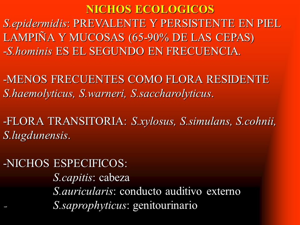 NICHOS ECOLOGICOS S.epidermidis: PREVALENTE Y PERSISTENTE EN PIEL LAMPIÑA Y MUCOSAS (65-90% DE LAS CEPAS)
