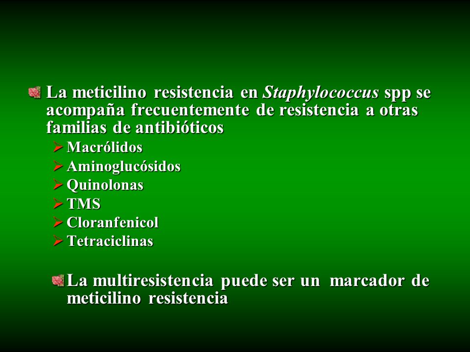 La multiresistencia puede ser un marcador de meticilino resistencia