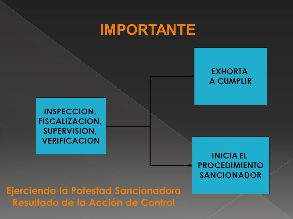 Ejerciendo la Potestad Sancionadora Resultado de la Acción de Control