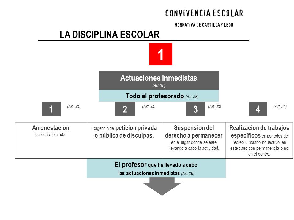 Actuaciones inmediatas El profesor que ha llevado a cabo