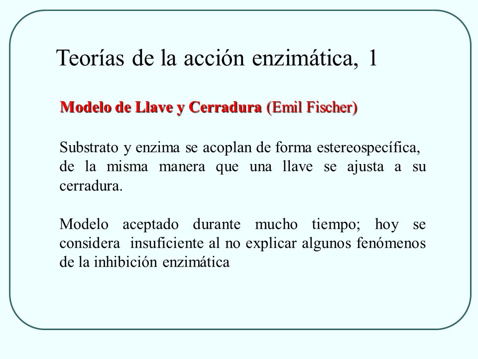 Teorías de la acción enzimática, 1