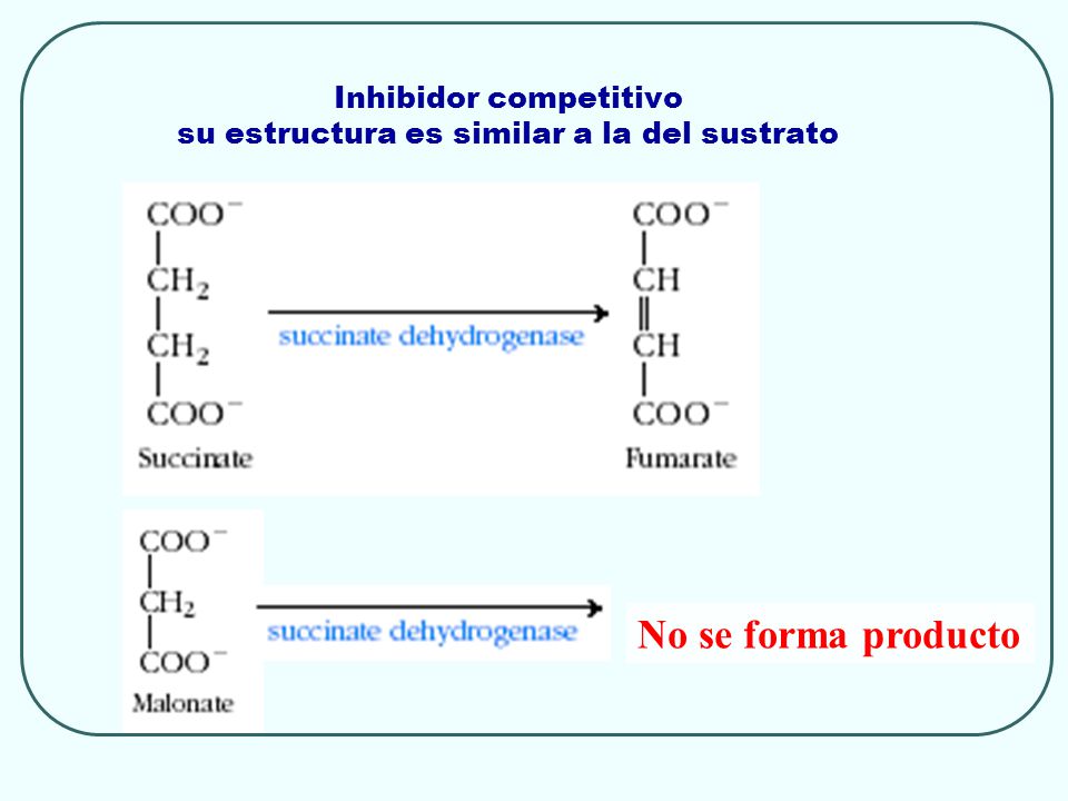 Inhibidor competitivo su estructura es similar a la del sustrato