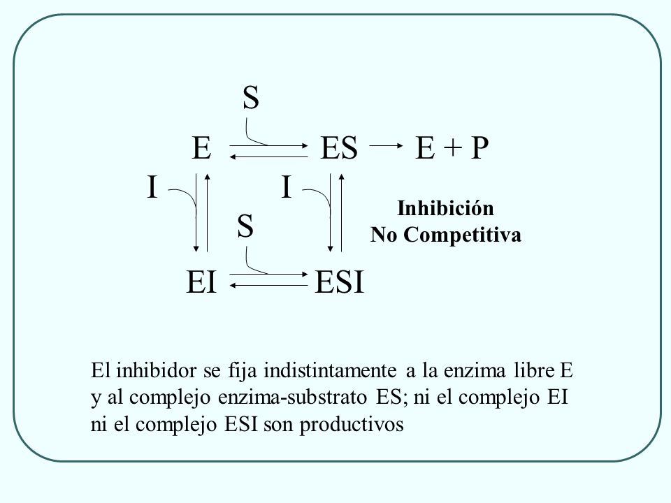 E ES EI I S E + P ESI Inhibición No Competitiva