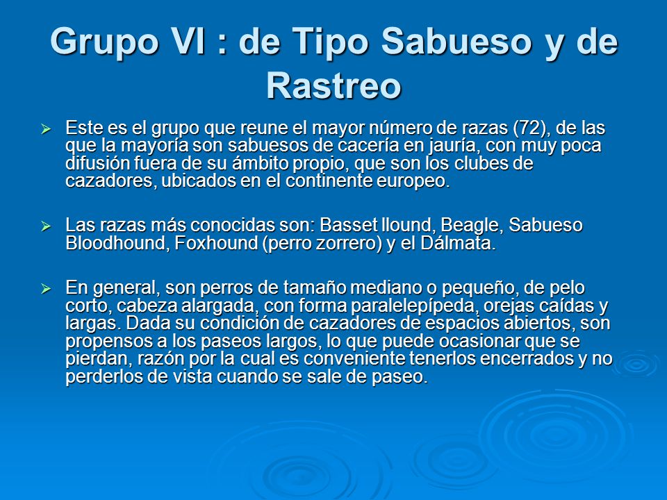 Grupo VI : de Tipo Sabueso y de Rastreo
