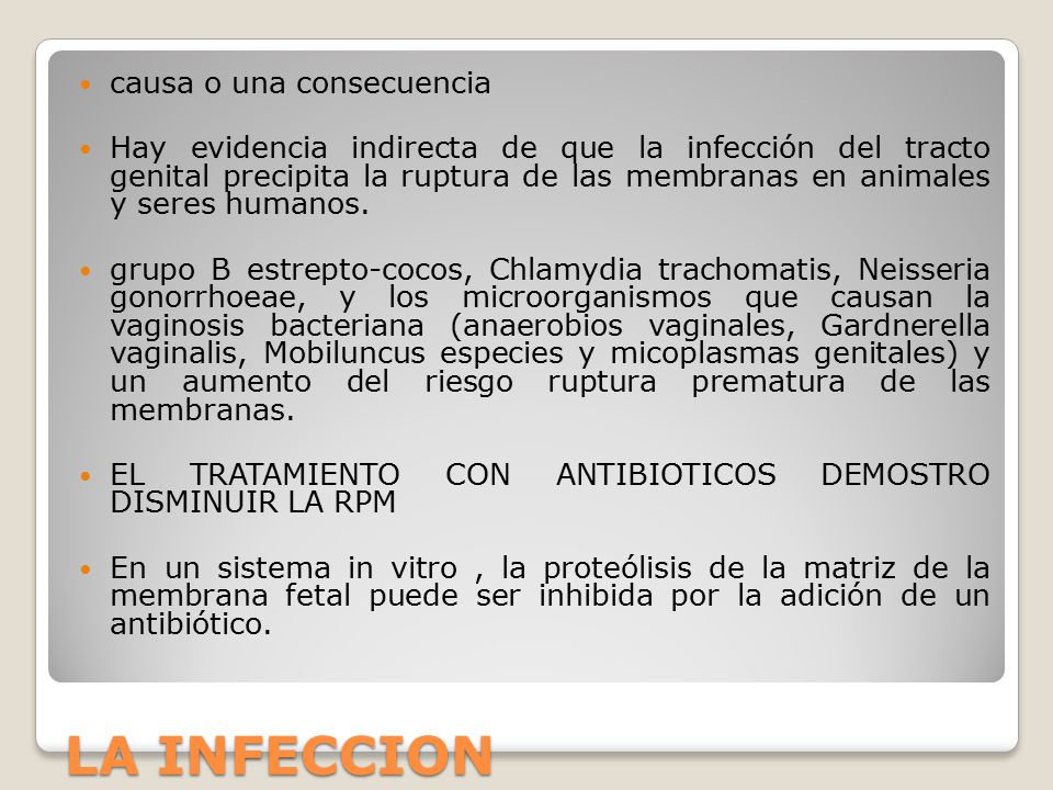 LA INFECCION causa o una consecuencia