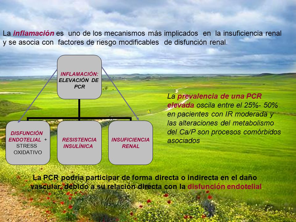 La inflamación es uno de los mecanismos más implicados en la insuficiencia renal y se asocia con factores de riesgo modificables de disfunción renal.