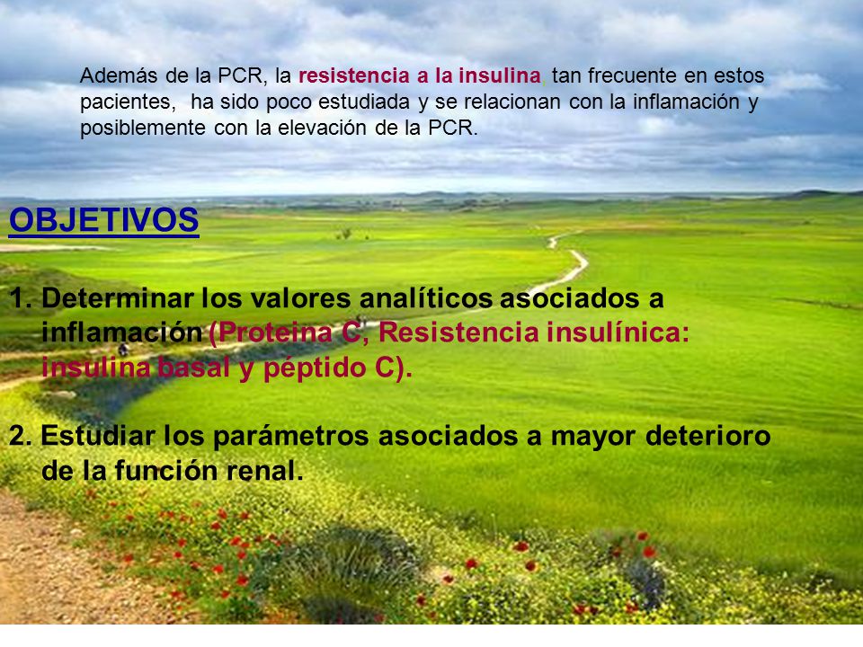 Además de la PCR, la resistencia a la insulina, tan frecuente en estos pacientes, ha sido poco estudiada y se relacionan con la inflamación y posiblemente con la elevación de la PCR.