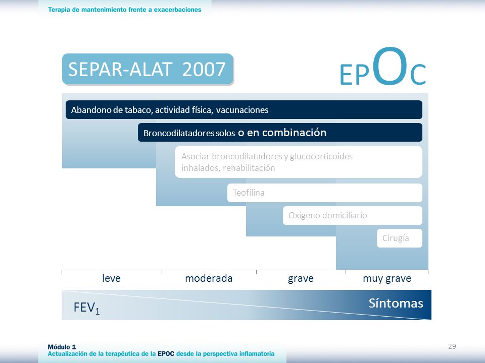 EPOC SEPAR-ALAT 2007 Síntomas FEV1 leve moderada grave muy grave