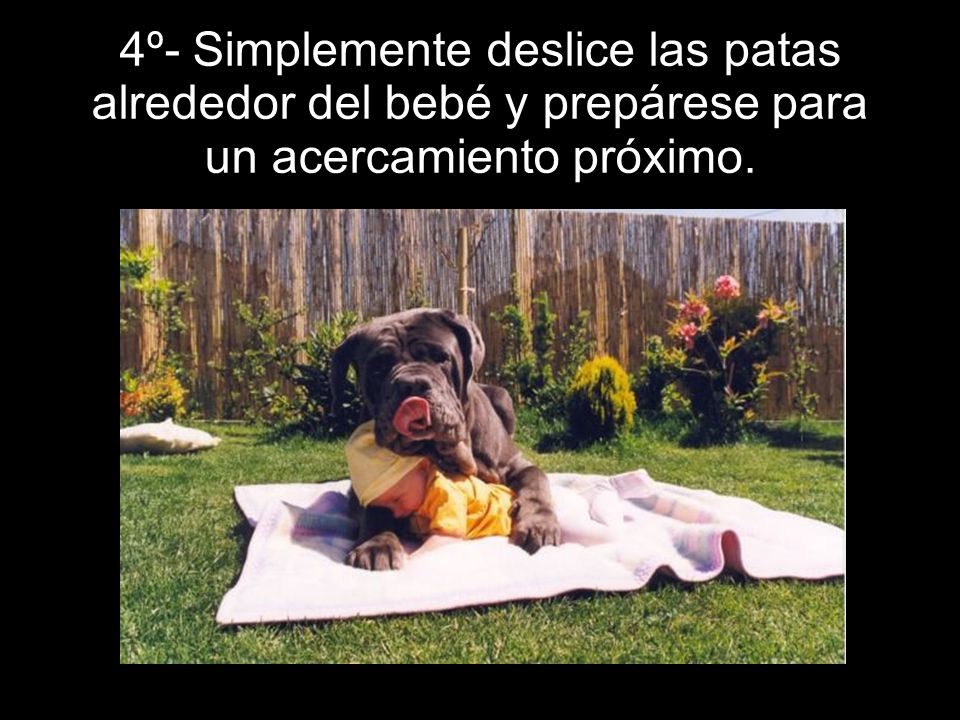 4º- Simplemente deslice las patas alrededor del bebé y prepárese para un acercamiento próximo.