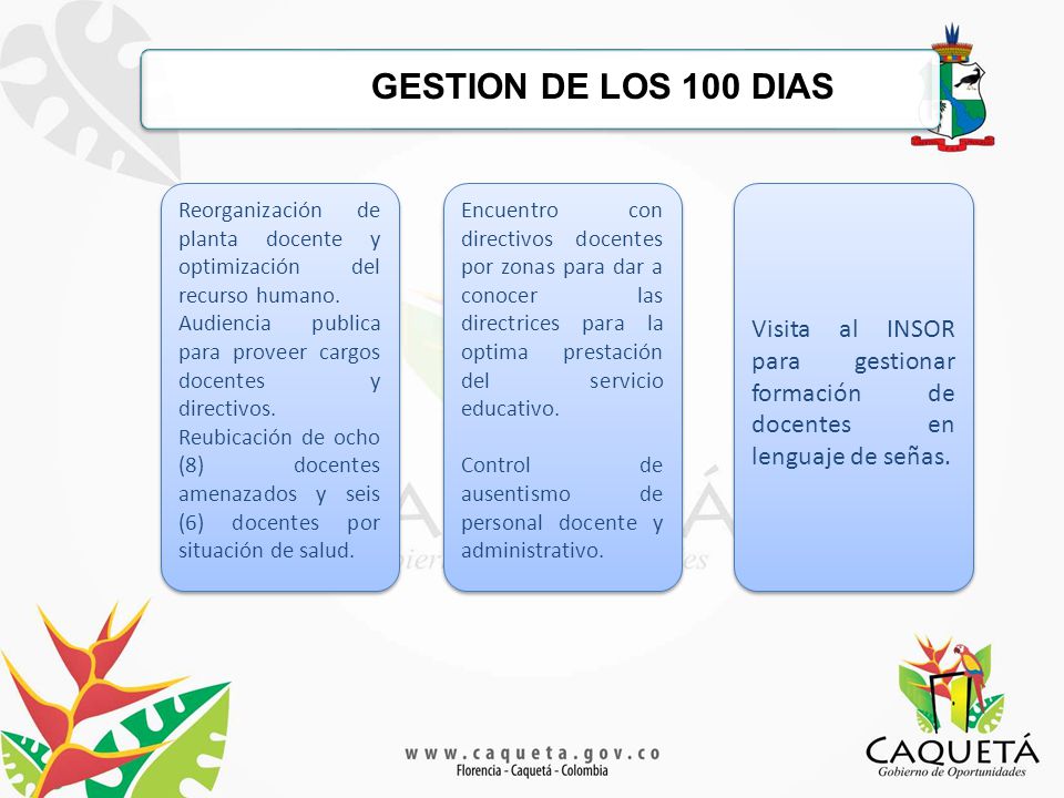 GESTION DE LOS 100 DIAS Reorganización de planta docente y optimización del recurso humano.
