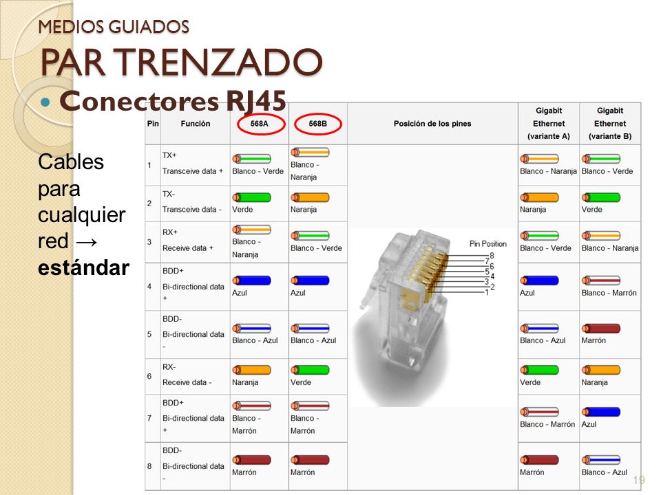 PAR TRENZADO Conectores RJ45 Cables para cualquier red → estándar